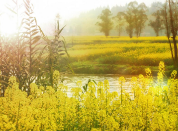 宫颈炎能治好吗