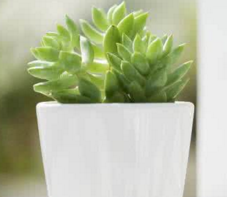 运城现代妇科医院