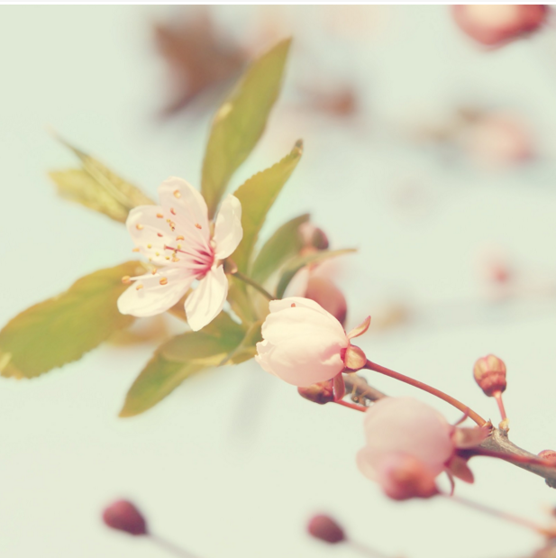 运城现代妇科医院