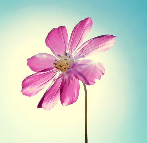 运城现代妇科医院