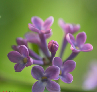 运城现代妇科医院