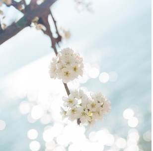 运城现代妇科医院