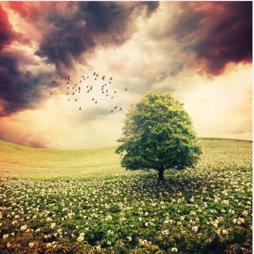 运城现代妇科医院