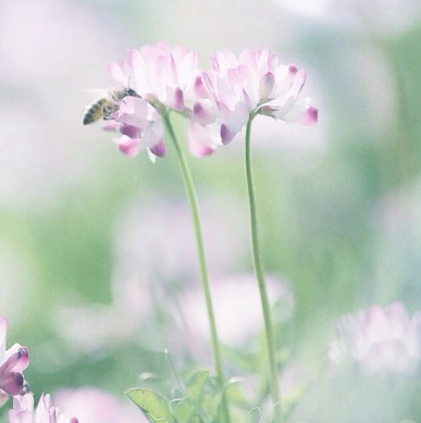 运城现代妇科医院