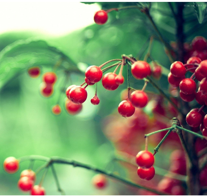 运城现代妇科医院