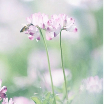 运城现代妇科医院