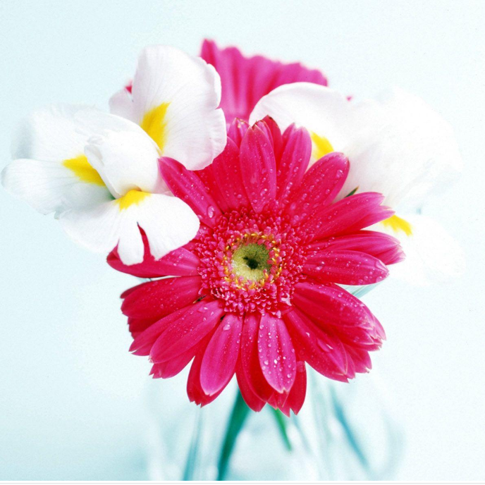 运城现代妇科医院