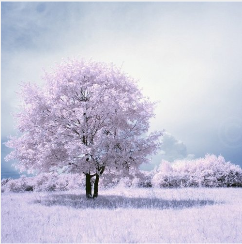 运城现代妇科医院