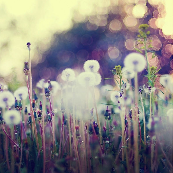 运城现代妇科医院