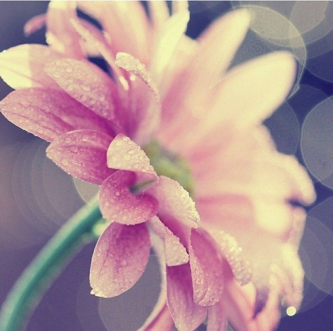 运城现代妇科医院