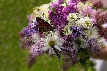 运城早早孕试纸准不准