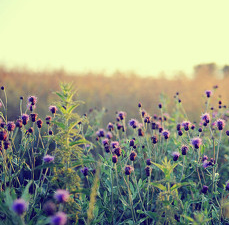 运城现代妇科医院
