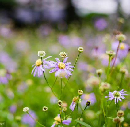 运城现代妇科医院