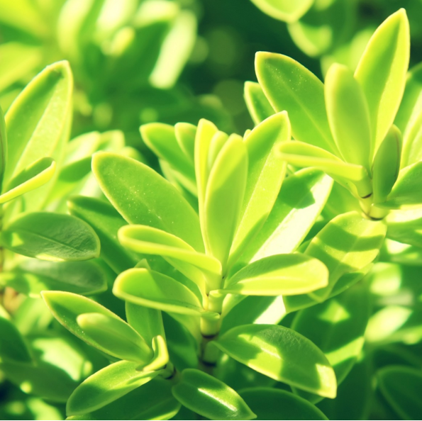 运城现代妇科医院