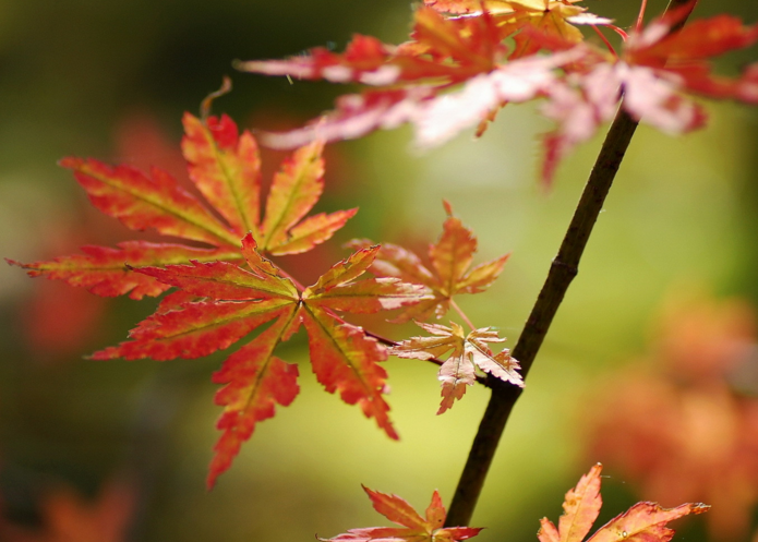 山西省运城市哪不孕不育医院好?