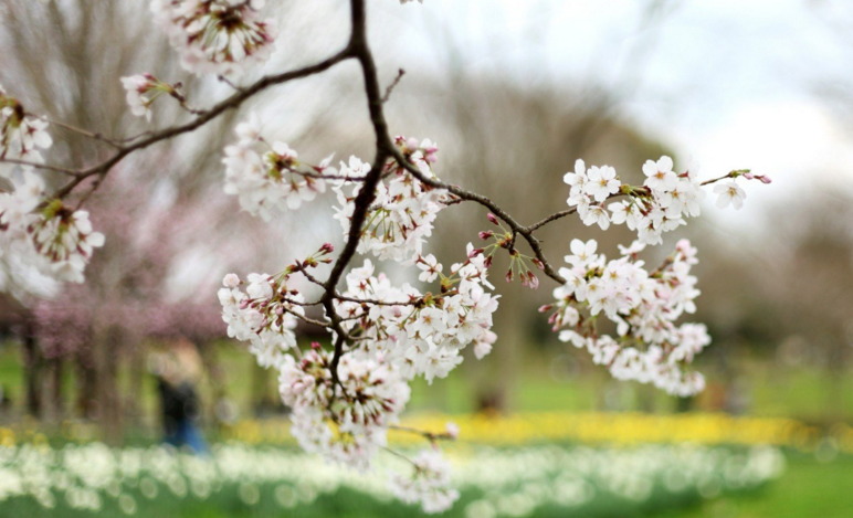运城怎么才能检查出不能怀孕？