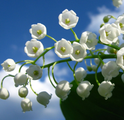 运城卵巢囊肿有什么症状？